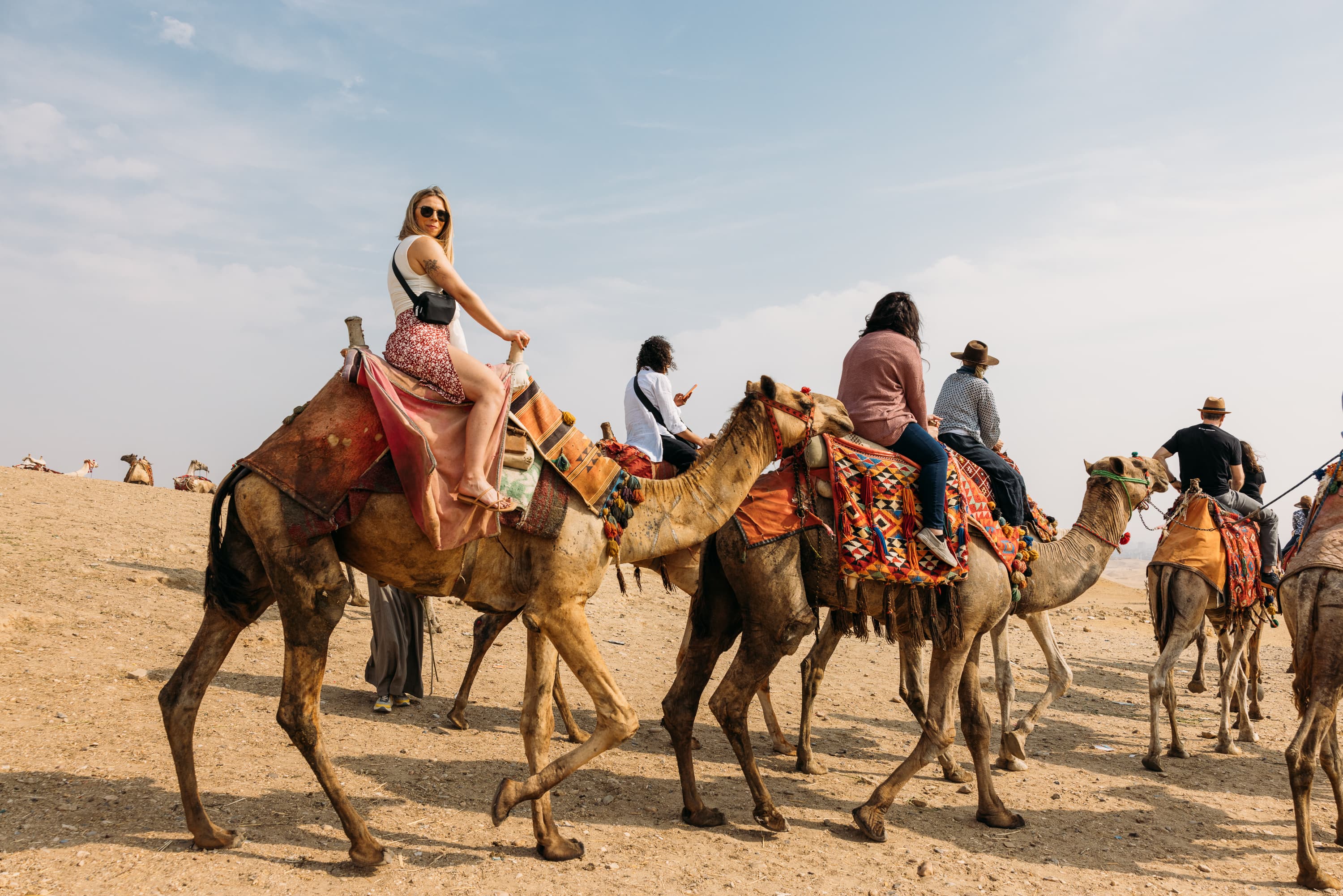 two women in camels, Cairo, Egypt